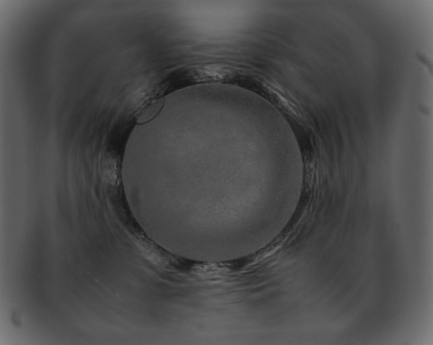 X0000093160331200709261514