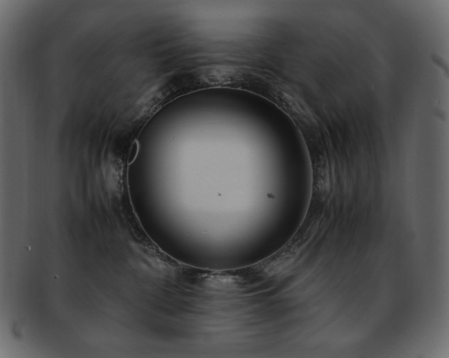 X0000093160332200709261514