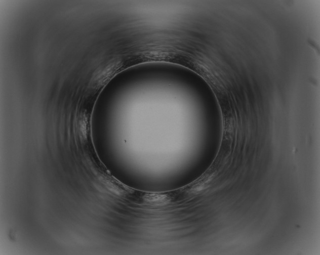 X0000093160334200709261514