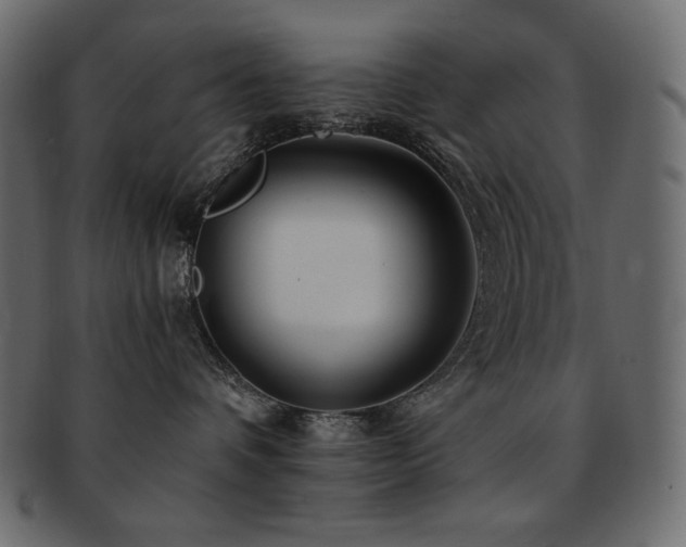 X0000093160336200709261514