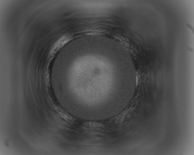 X0000093160339200709261513