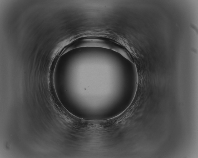 X0000093160340200709261513
