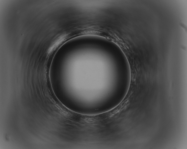 X0000093160341200709261513