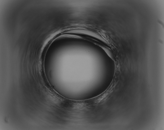X0000093160342200709261513