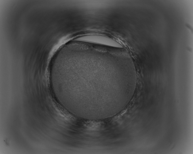 X0000093160343200709261513
