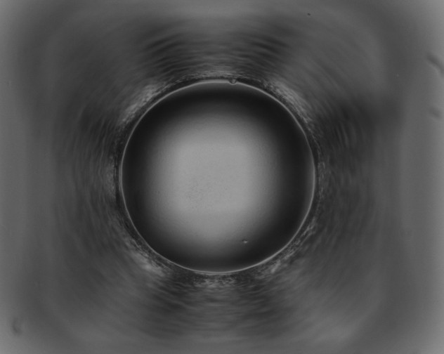 X0000093160345200709261513