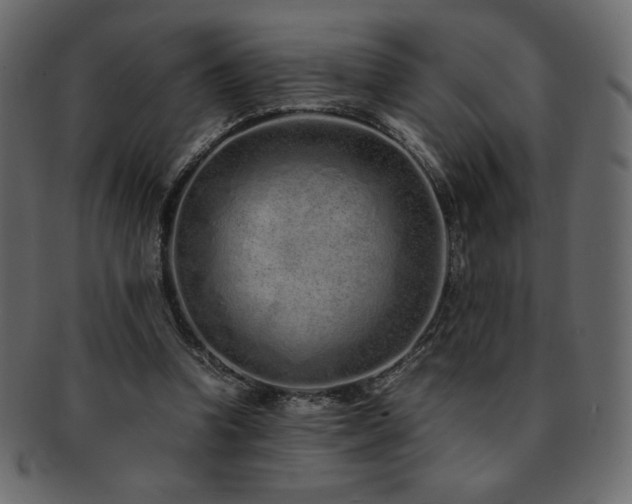 X0000093160346200709261513