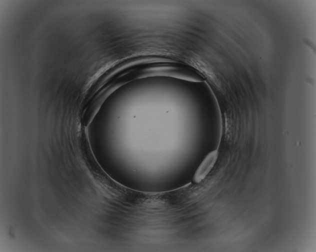 X0000093160348200709261513