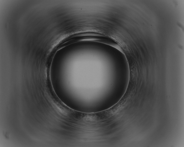 X0000093160350200709261513