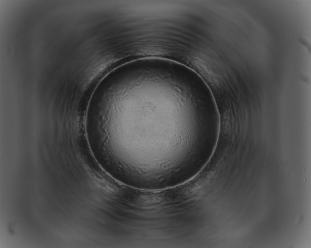X0000093160351200709261513