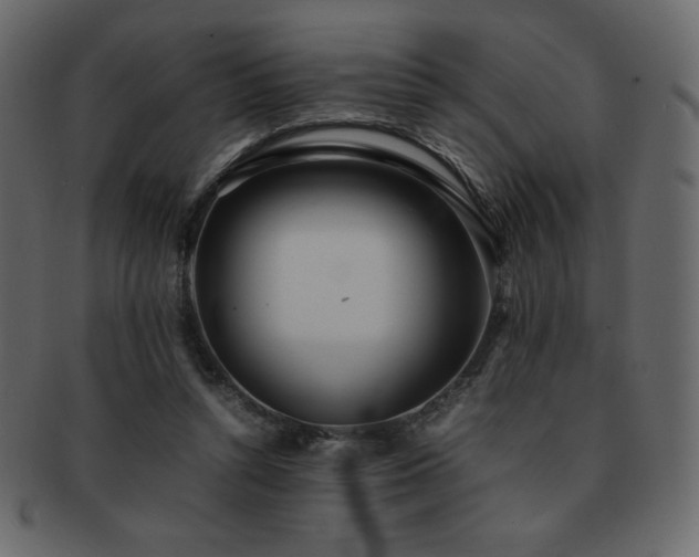X0000093160352200709261514