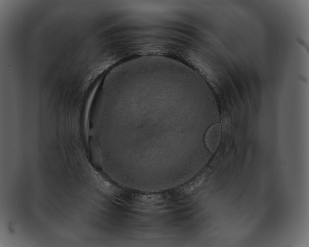 X0000093160353200709261514