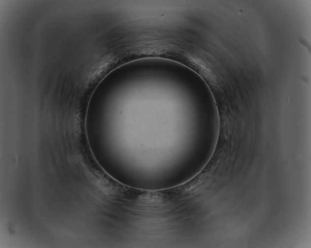 X0000093160354200709261514