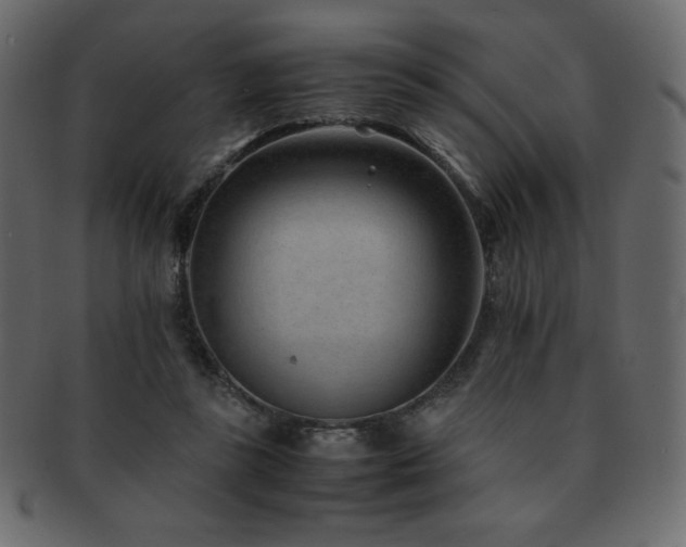 X0000093160355200709261514