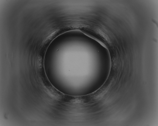 X0000093160356200709261514
