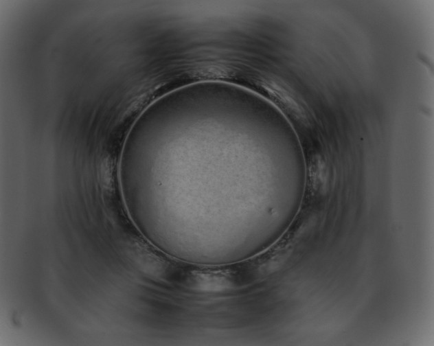 X0000093160359200709261514