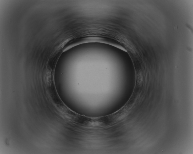 X0000093160360200709261514