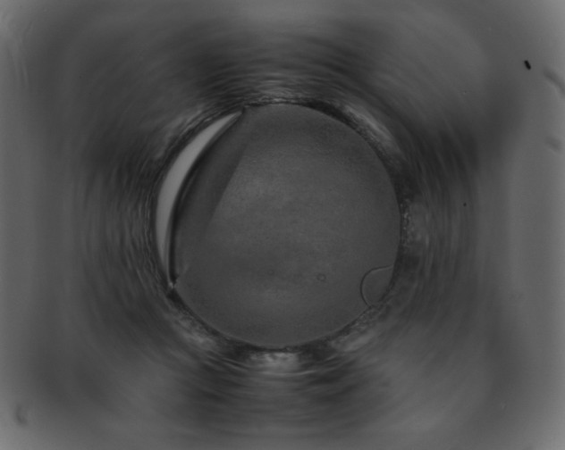 X0000093160361200709261514