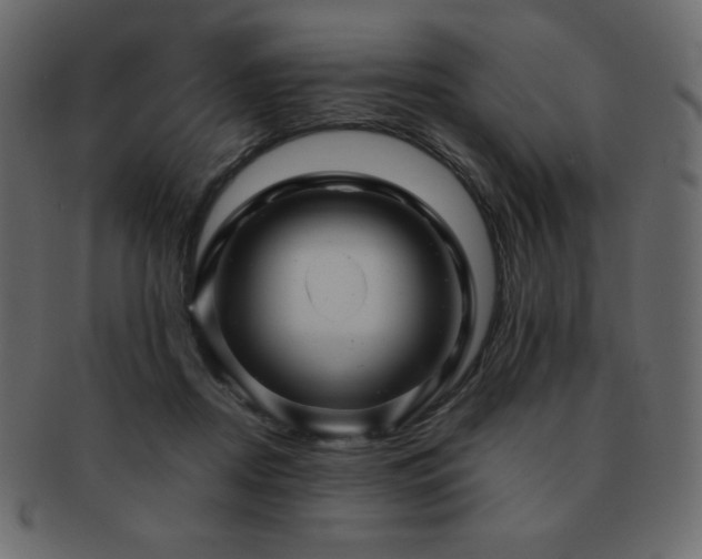 X0000093160362200709261514