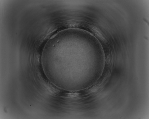 X0000093160363200709261514