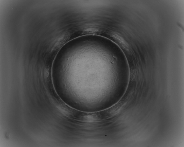 X0000093160365200709261514