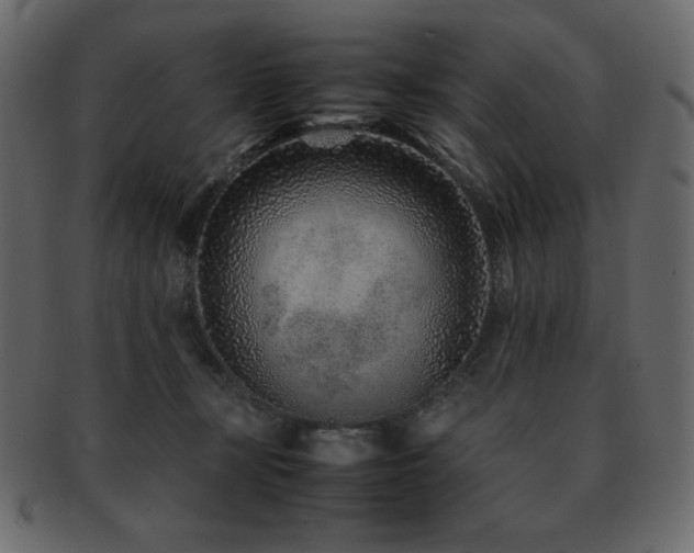 X0000093160367200709261514