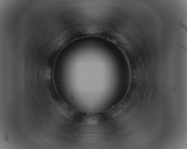 X0000093160368200709261514