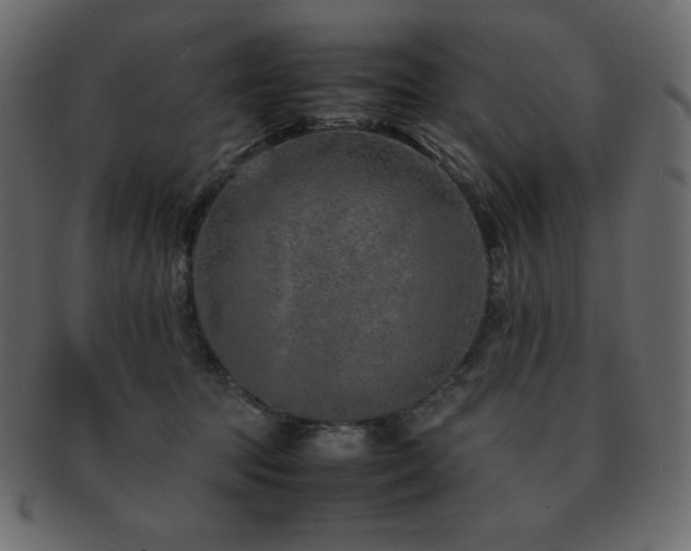X0000093160369200709261514