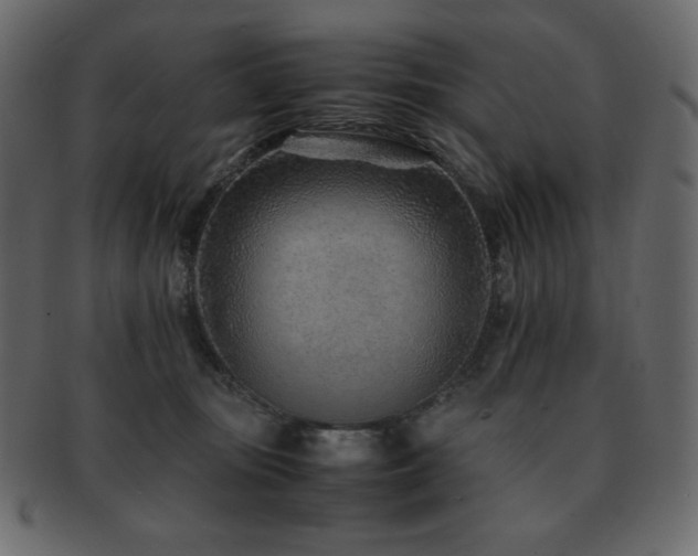 X0000093160371200709261514