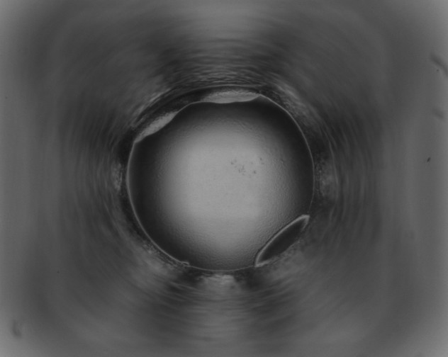 X0000093160374200709261514