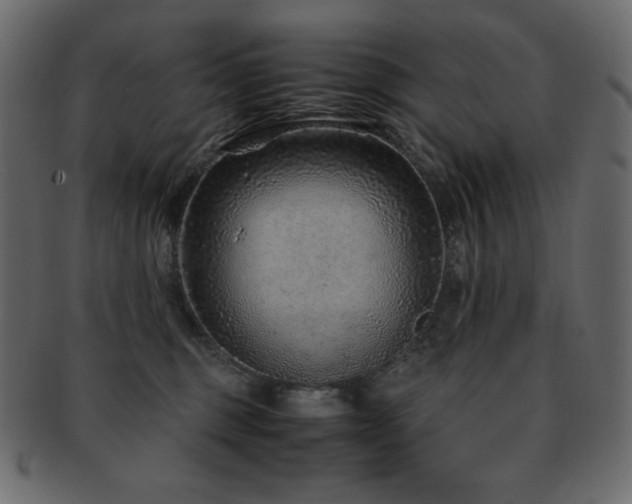X0000093160375200709261514