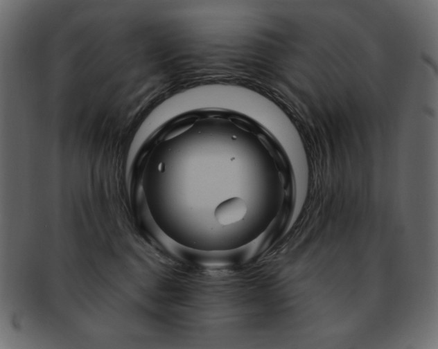 X0000093160376200709261514