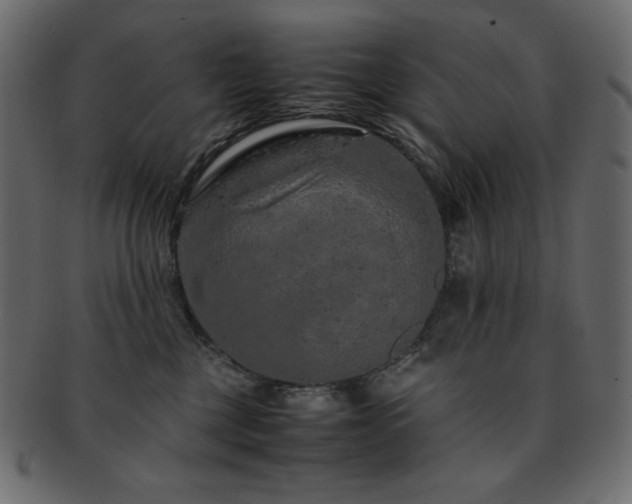 X0000093160377200709261514