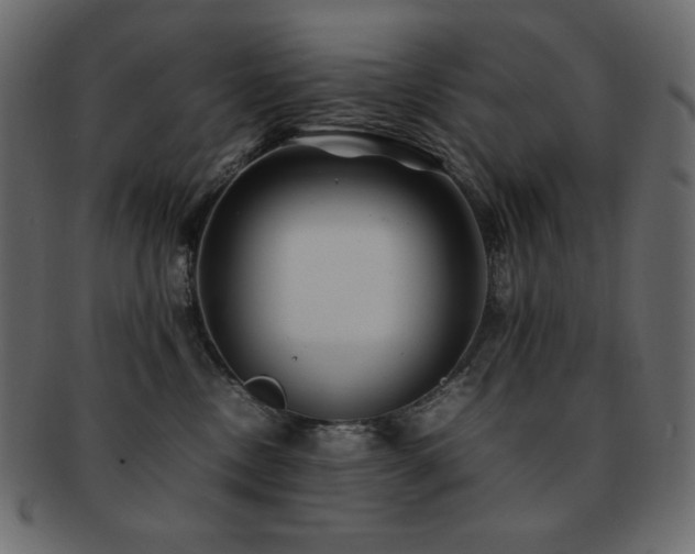 X0000093160378200709261514