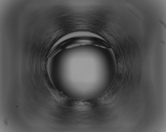 X0000093160379200709261514