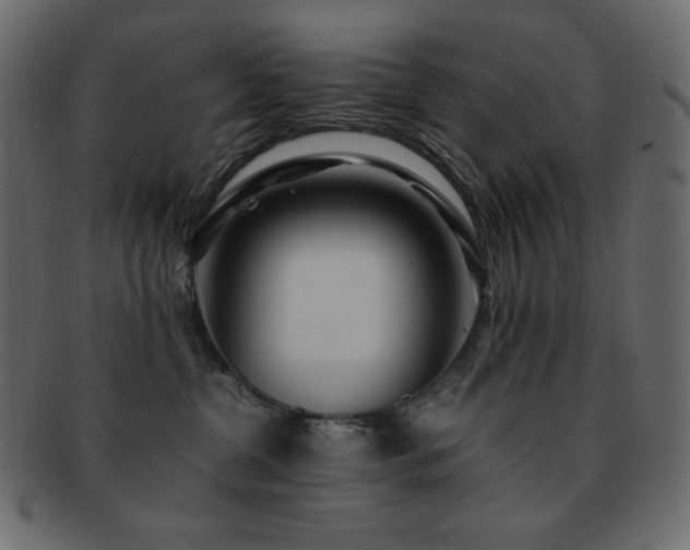 X0000093160380200709261514