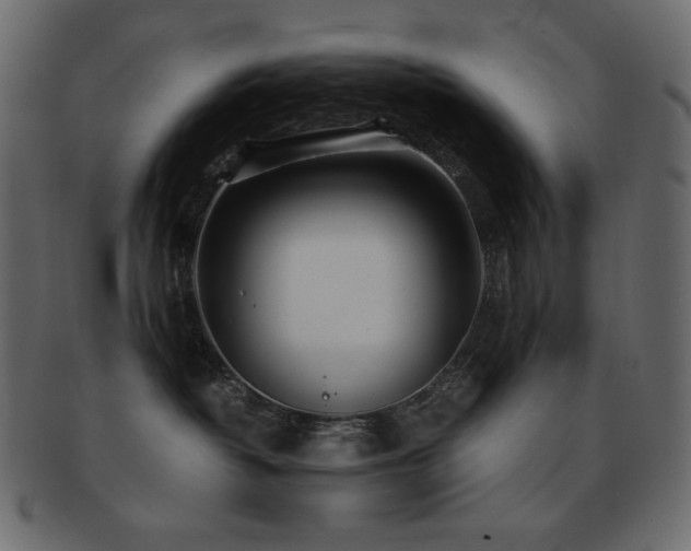X0000093160382200709261514