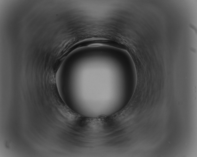 X0000093160384200709261514