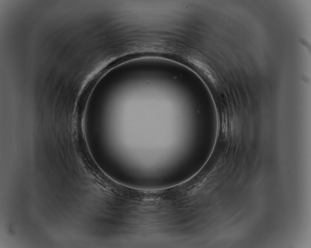 X0000093160388200709261513