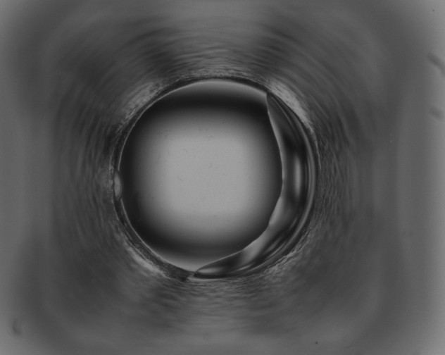 X0000093160389200709261513