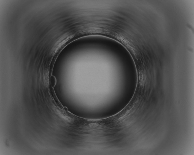 X0000093160390200709261513