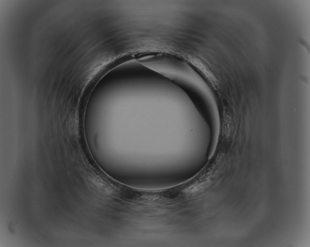 X0000093160391200709261513