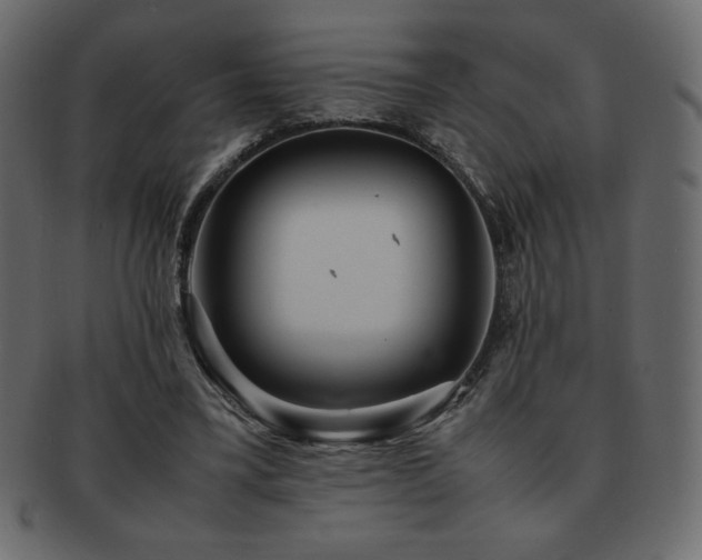 X0000093160395200709261513