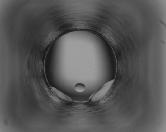 X0000093160397200709261513
