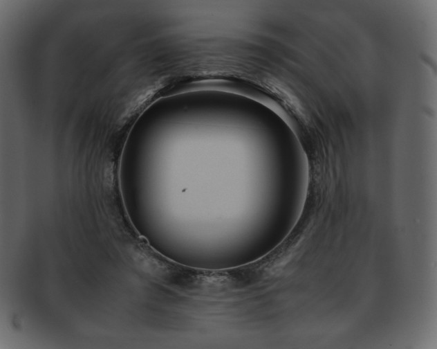 X0000093160401200709261513