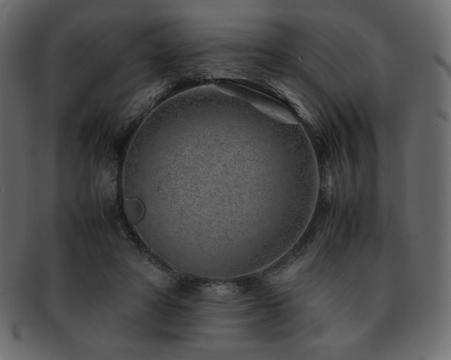 X0000093160402200709261513