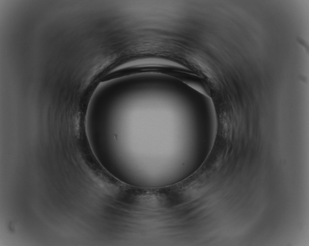 X0000093160404200709261513