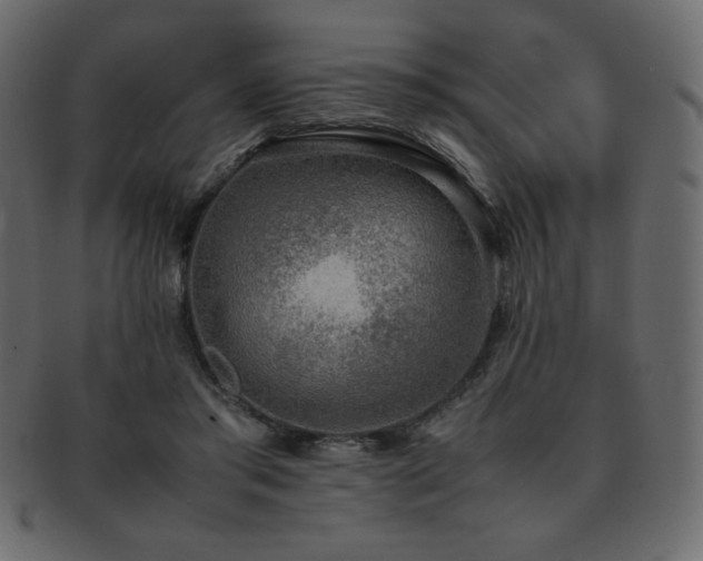 X0000093160405200709261513