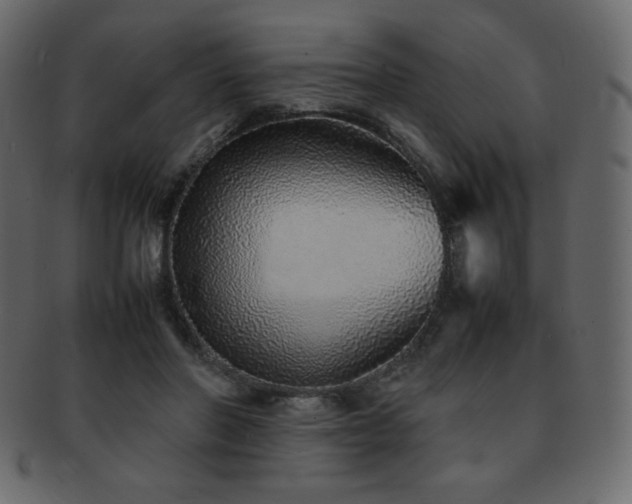 X0000093160406200709261513