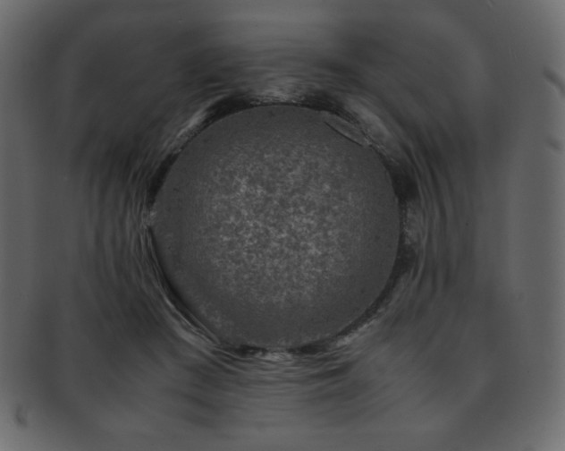 X0000093160409200709261513